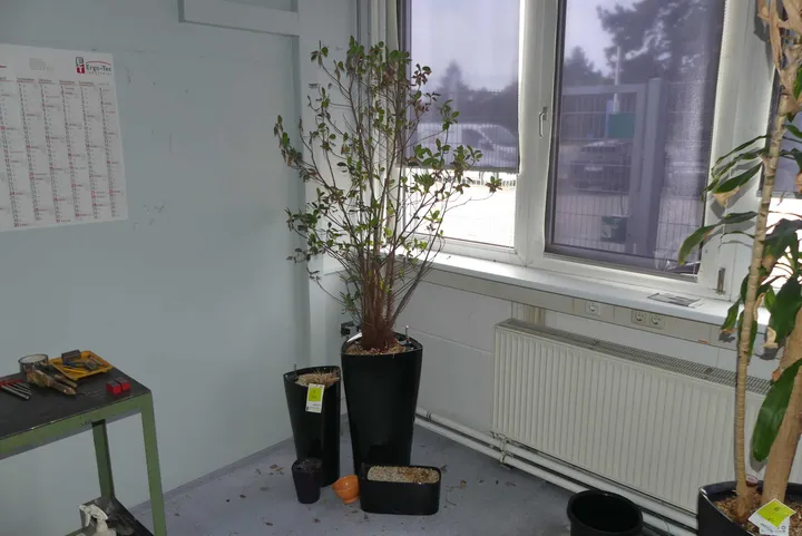Pflanzenset